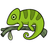Chameleon - Cartoon pencil draw style of animal and plant in the garden pencil draw png