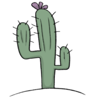 cactus - style de dessin au crayon de dessin animé d'animaux et de plantes dans le jardin dessin au crayon png