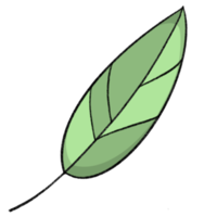 feuille petit arbre - style de dessin au crayon de dessin animé d'animaux et de plantes dans le jardin dessin au crayon png