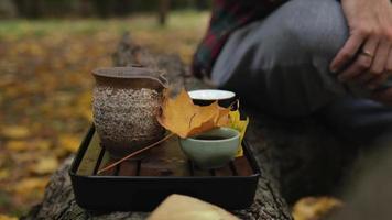 service à thé pour la cérémonie du thé chinoise dans le parc d'automne video