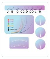 Eyelash extension training poster. Tips and tricks for eyelash extensions. eyelash extension information Correct and incorrect fastening. vector