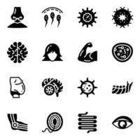 Pack of Organs Line Icons vector
