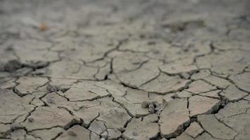 as condições do solo e a seca são causadas pela derrubada de árvores devido às chuvas e ao meio ambiente. salve a terra e o conceito de mundo. video