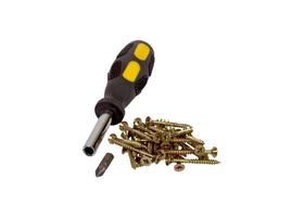 Screws and screwdriver isolated photo