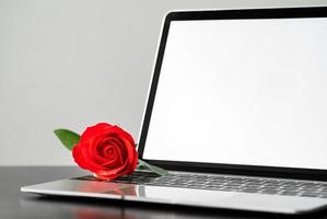 Red rose and the laptop on deck photo