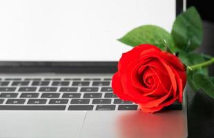 Red rose and the laptop on deck photo