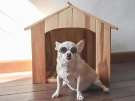 Perro chihuahua de pelo corto marrón con gafas de sol, sentado en una casa de perro de madera, mirando a la cámara. foto