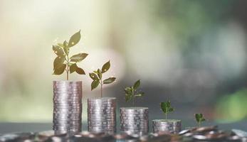 Stacks of coins lined up on the table,tree showing growth,concept of saving money and increasing interest and profit,Signs or trends in investment wealth,retirement planning photo