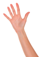 Female hand isolated png