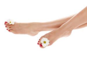 hermosas piernas femeninas con flor de margarita aislada png