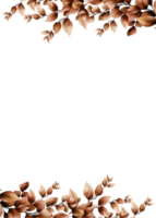 incorniciato eucalipto Marrone acquerello png