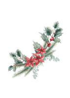 bouquet de noël aquarelle png