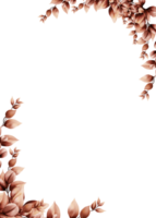 inramade eukalyptus brun vattenfärg png