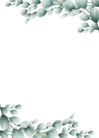 aquarelle de feuilles d'eucalyptus encadrées png