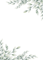 eucalipto acuarela verde png