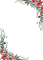 aquarelles de fleurs de noël croustillantes. png