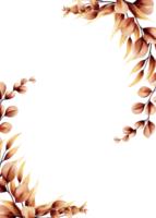 inramade eukalyptus brun vattenfärg png