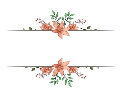 Set Botanic Blossom Floral Elements. Bloom Foliage