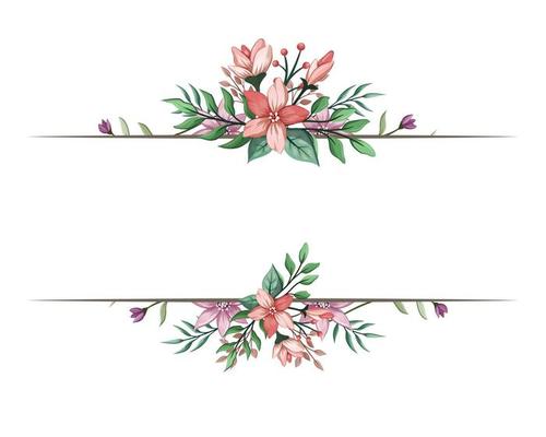 Set Botanic Blossom Floral Elements. Bloom Foliage