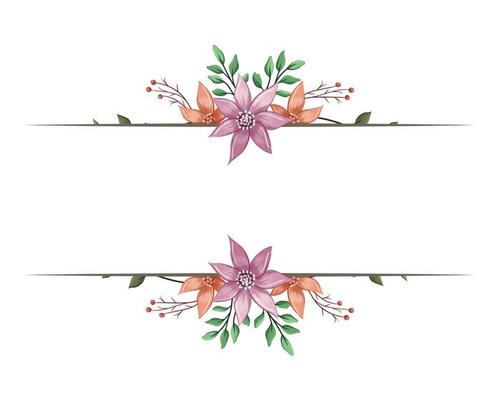 Set Botanic Blossom Floral Elements. Bloom Foliage