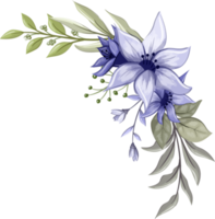 viola floreale mazzo con acquerello png