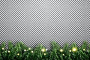 Fir Branch with Neon Lights on Transparent Background. vector