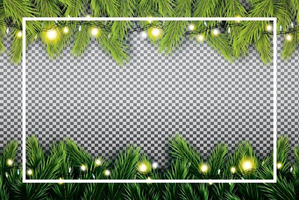 Fir Branch with Neon Lights and White Frame on Transparent Background.