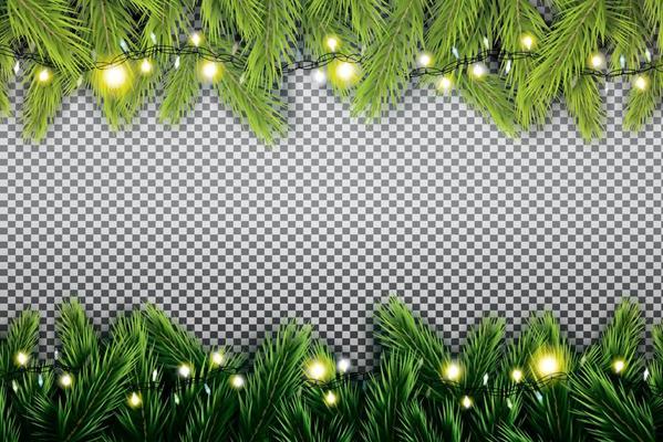 Fir Branch with Neon Lights on Transparent Background.