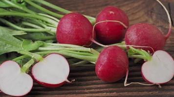 radis rouge biologique frais sur une table en bois rustique. légume bio sain raphanus sativus video