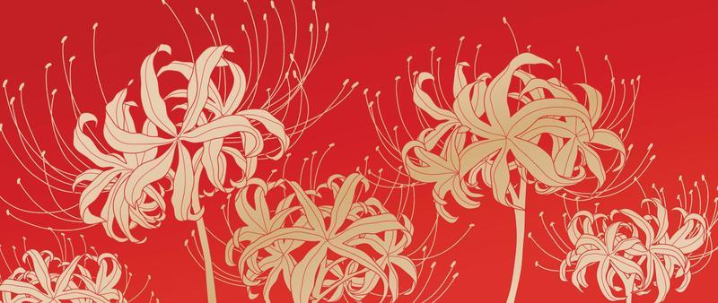Spider Lily Vector Art, Icons, and Graphics for Free Download
