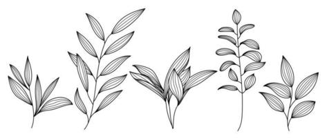 Set of hand drawn line art leaf branch vector. Botanical leaf branch collection of black white drawing contour simple style. Design illustration for prints, logos, cosmetics, poster, card, branding. vector