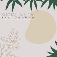 vector botanic, flowers, plants banner background square social media post,