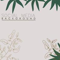 vector botanic, flowers, plants banner background square social media post,