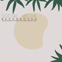 vector botanic, flowers, plants banner background square social media post,