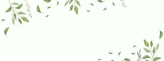 banner vectorial minimalista y moderno a base de hierbas con espacio libre para texto. plantas pintadas a mano, ramas, hojas sobre un fondo blanco. plantilla horizontal simple de boda verde. vector