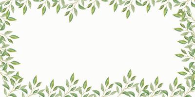 Herbal minimalist and modern vector banner with free space for text. Hand painted plants, branches, leaves on a white background. Greenery wedding simple horizontal template.