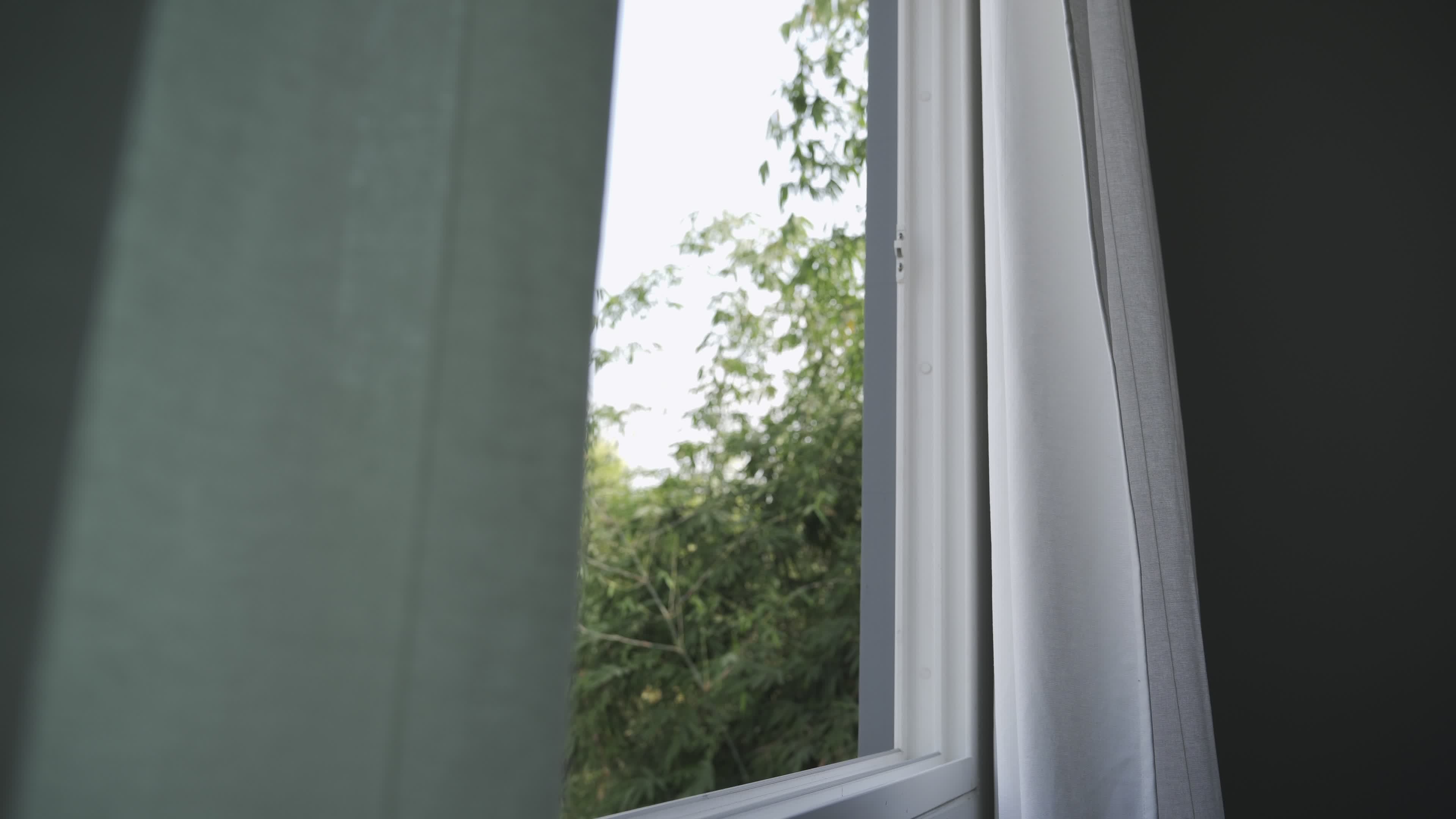 A hotel or home stay the wind blows and nature can be seen through the