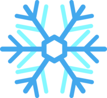 fiocco di neve illustrazione nel minimo stile png