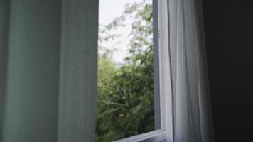 en un hotel o en una casa, el viento sopla y la naturaleza se puede ver a través de la ventana. el viento soplaba cortinas blancas que revoloteaban a través de la ventana abierta. video