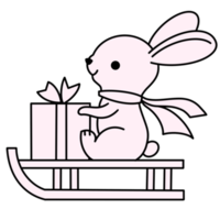 Pink Rabbit and Gift png