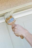 Professional Painter Cutting In With Brush to Paint Garage Door Frame photo