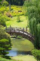 Beautiful Japanese Garden with Pond and Bridge. photo