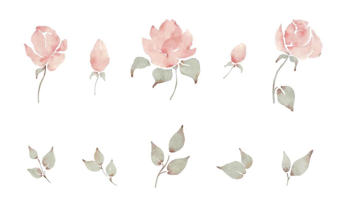 Watercolor Rose Vector Art, Icons, and Graphics for Free Download