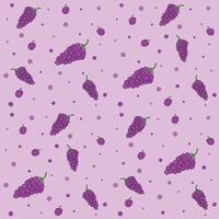 Grape and circle pattern seamless vector on purple background , fruit pattern seamless