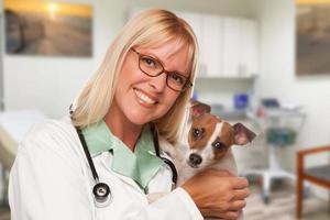 doctora veterinaria con cachorro pequeño en el cargo foto