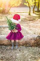 Cute Mixed Race Young Baby Girl Having Fun With Santa Hat and Christmas Tree Outdoors On Log photo