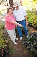 Attractive Senior Couple Overlooking Potted Plants photo