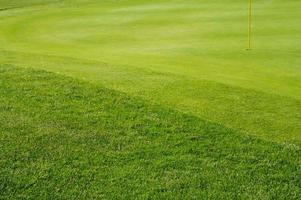 pintoresco campo de golf cubierto de hierba verde y marginal. foto