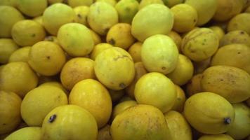 Haufen von frisch geernteten Zitronen video