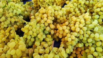 Sweet Grapes at the Greengrocer Counter video